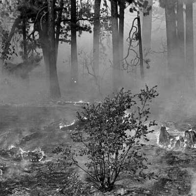 Granite Fire 1973