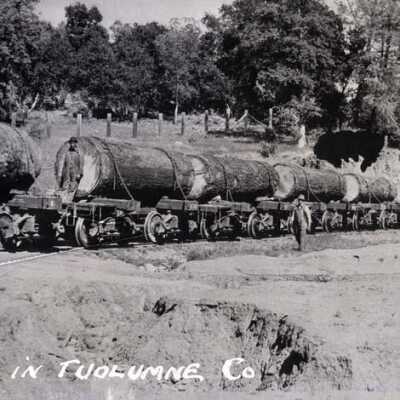 Standard Lumber Company log train