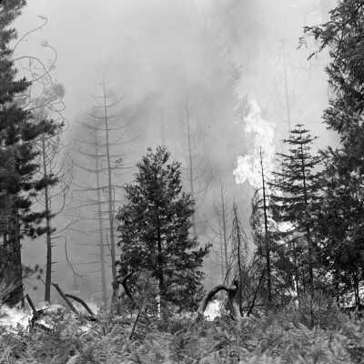 Granite Fire 1973