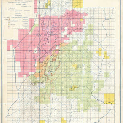 Holdings of the Pickering Lumber Company, of the District Between Reeds Creek and Cherry River, Jawbone Unit
