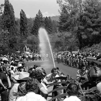 Fireman's Muster