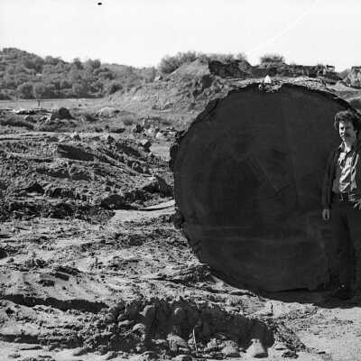 Louisiana-Pacific log yard