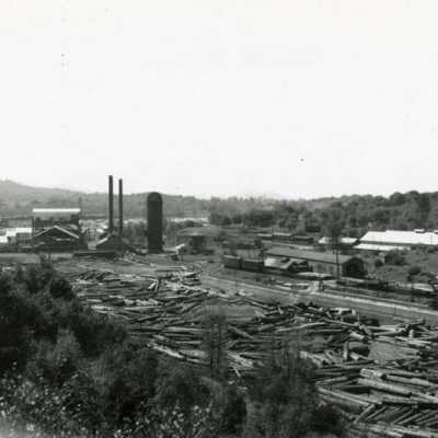 Sweeping view - Standard Mill