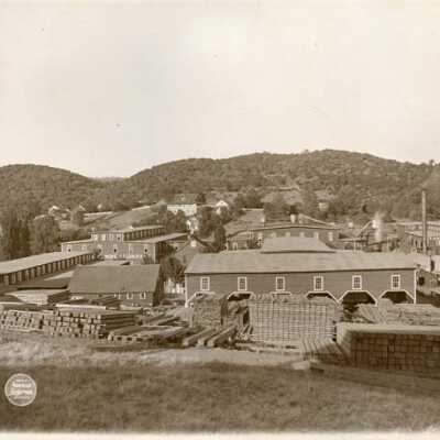 Sonora Plant