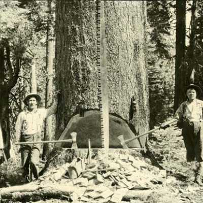 Lumberjacks