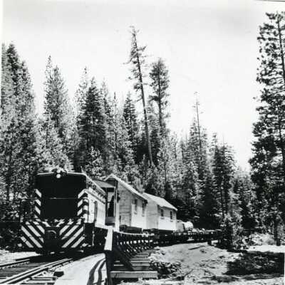 Train carrying houses