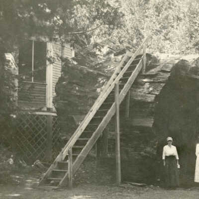 Large Redwood Log