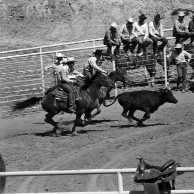 Mother Lode Roundup Rodeo