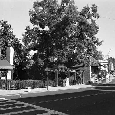 S. Washington St., Sonora
