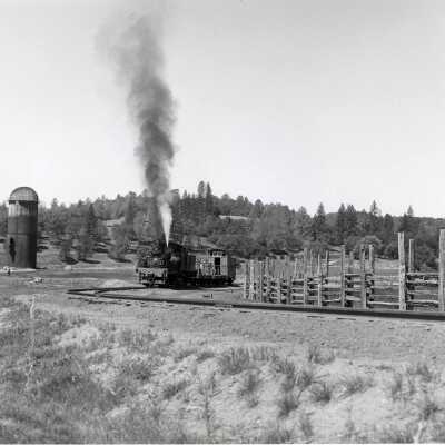 Lost photos, Bell Ownership