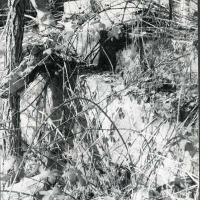 River bridge footings