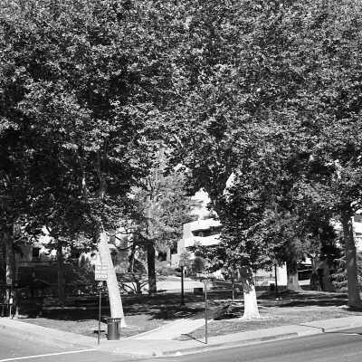 Courthouse Park, Sonora