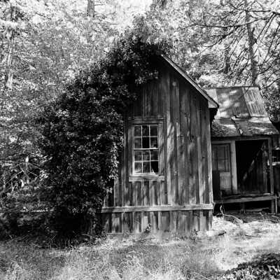 Abandoned house in Confidence on Coffill Road