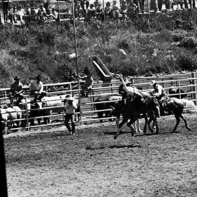 Mother Lode Roundup Rodeo