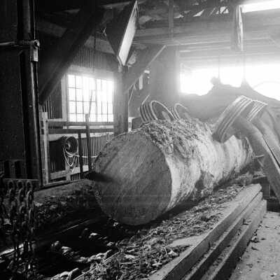 Louisiana-Pacific Saw Mill.