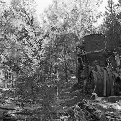 Soap Creek Logging Camp steam donkey