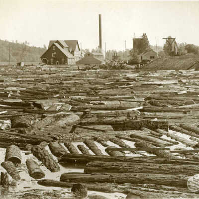 Standard Log Pond