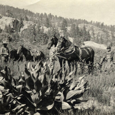 Man With Horse