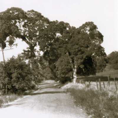 Sonora Golf Club - 1929