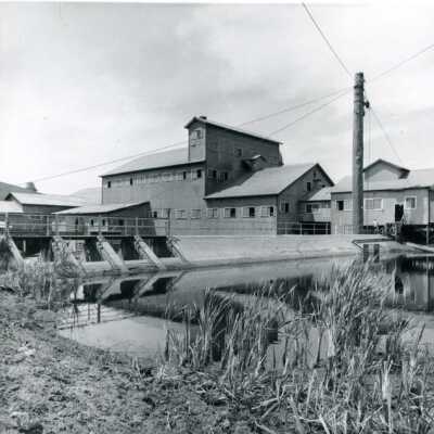 Standard Lumber Mill