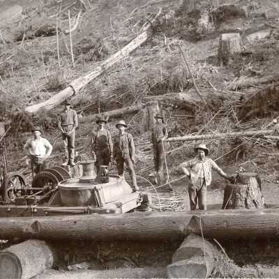 Steam Donkey Crew
