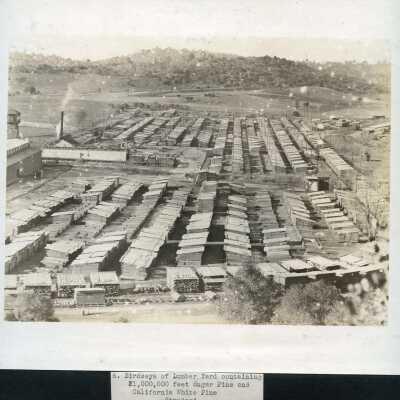 Standard Lumber Yard