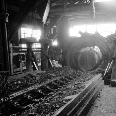 Louisiana-Pacific Saw Mill
