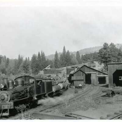 Lumber Roundhouse & Trains