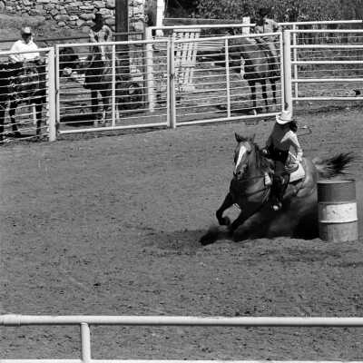 Mother Lode Roundup Rodeo
