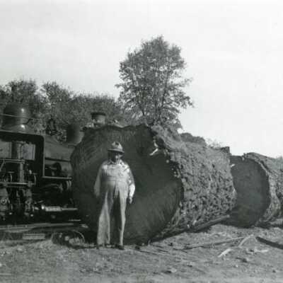 Standard lumber Co. Shay #12: engineer standing beside tracks
