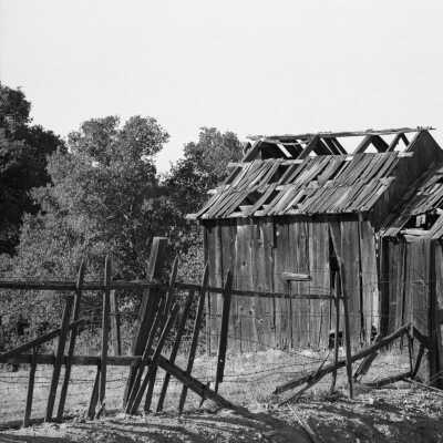 Algerine Shack