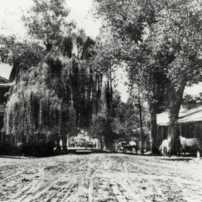 Hotel Willow in the early days