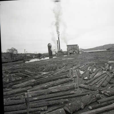Pickering Log Pond, Nov. 12, 1957