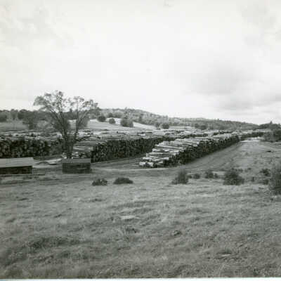 Dry Log Decks at Standard, ca. 1959