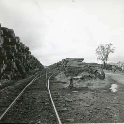 Dry Log Decks at Standard, ca. 1959