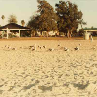 Gulfport Beach