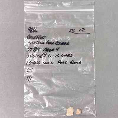 Survey Sample (Small Bag)