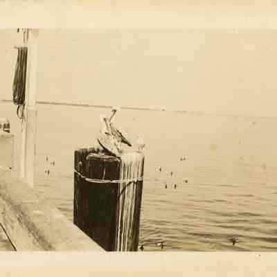 Gulfport PIer