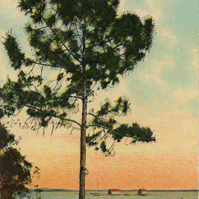 Veteran City Shore
