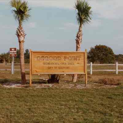 Osgood Point