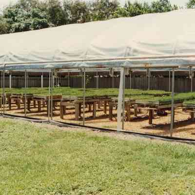 Clover Specialty Company
