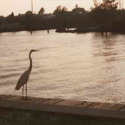 [Marina[