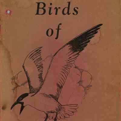 Birds of Florida