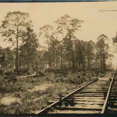 Trolley Tracks