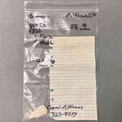Survey Sample (Small Bag)