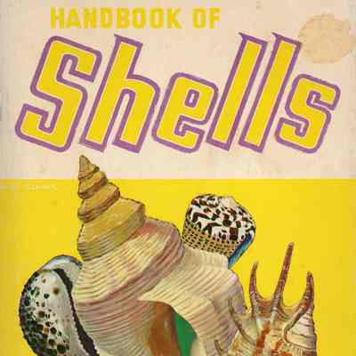 Handbook of shells