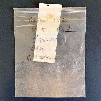 Survey Sample (Large Bag)