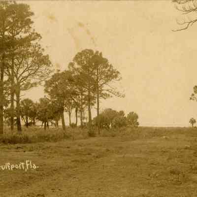 Gulfport Landscape
