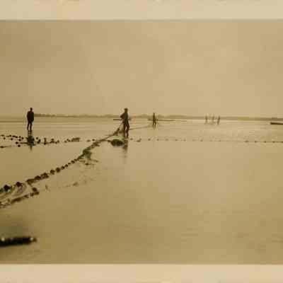 Boca Ciega Island Netting