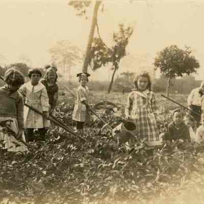 Gulfport School Victory Garden